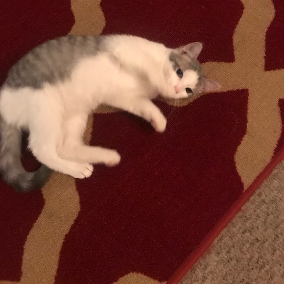 Meet your Posher, Courtney - Picture 2 of 11